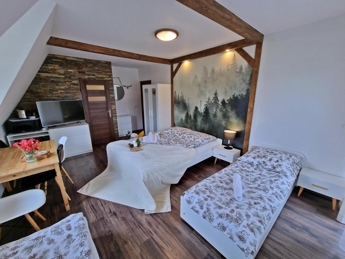 Villa Bukovinka: Forest Retreat with Ski Lifts and Thermal Baths Bukowina Tatrzanska Exterior photo